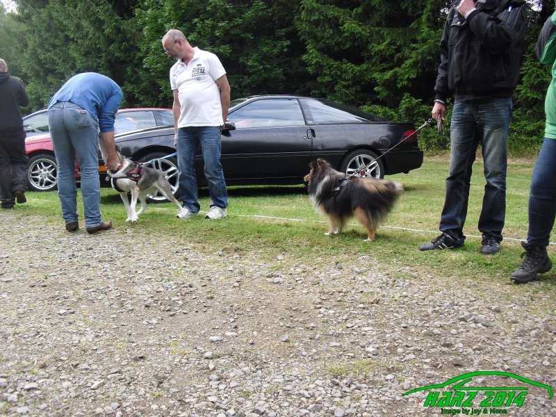 w_pt-harz2014-jay-mone-harz2014-jay-mone-131.JPG