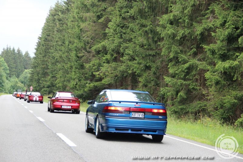 w_IMG_6419.JPG