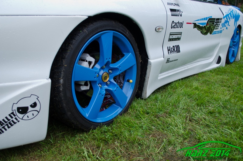 w_pt-harz2014-gabi.fischer-GEF_0734.jpg
