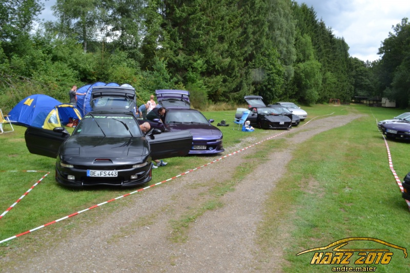 w_DSC_0553.JPG