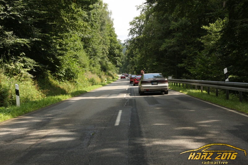 w_IMG_4138.JPG