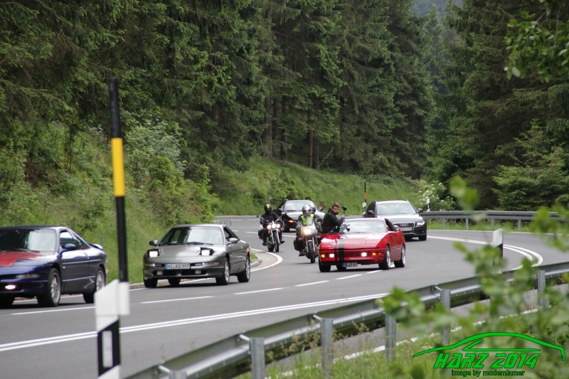 w_pt-harz2014-IMG_4364.JPG