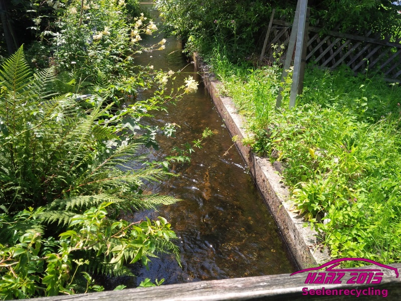 pt2015_w_IMG_20150717_143118.jpg