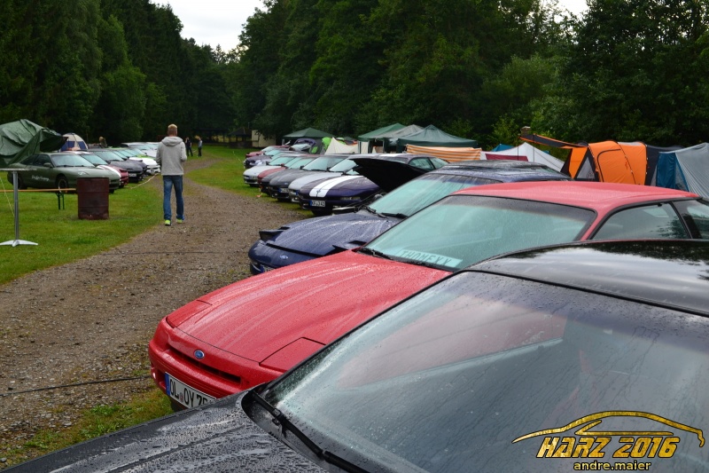 w_DSC_0566.JPG