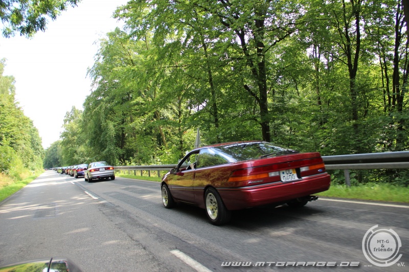 w_IMG_6258.JPG