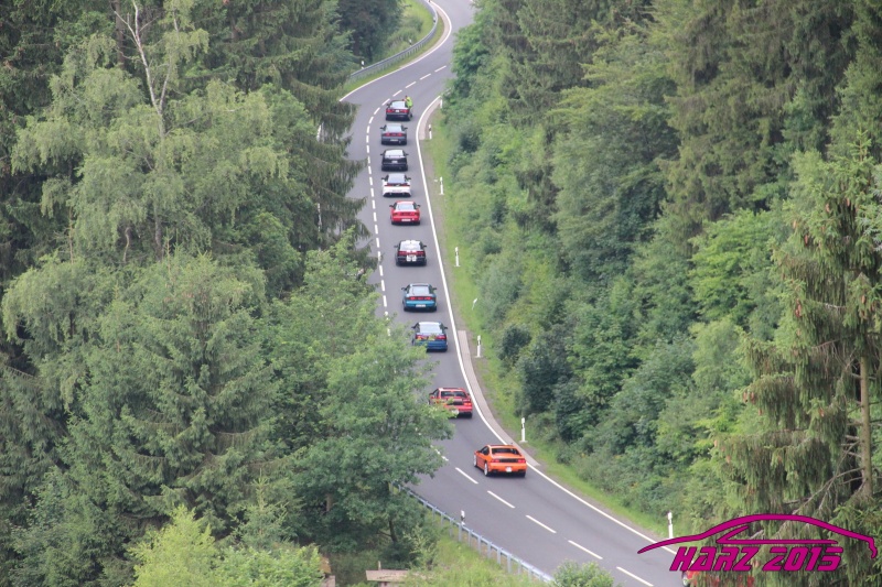 pt2015_w_IMG_9775.JPG
