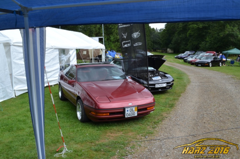 w_DSC_0547.JPG