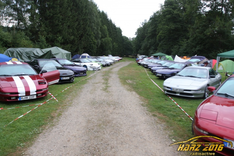 w_IMG_4239.JPG