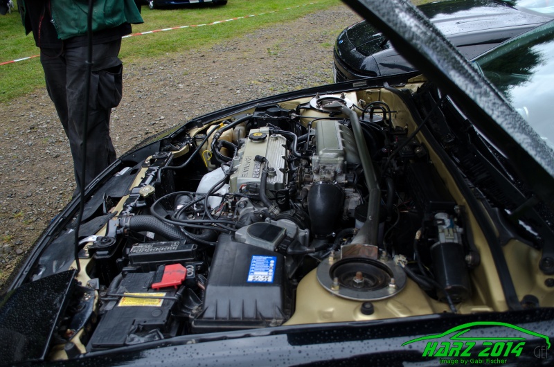 w_pt-harz2014-gabi.fischer-GEF_0719.jpg
