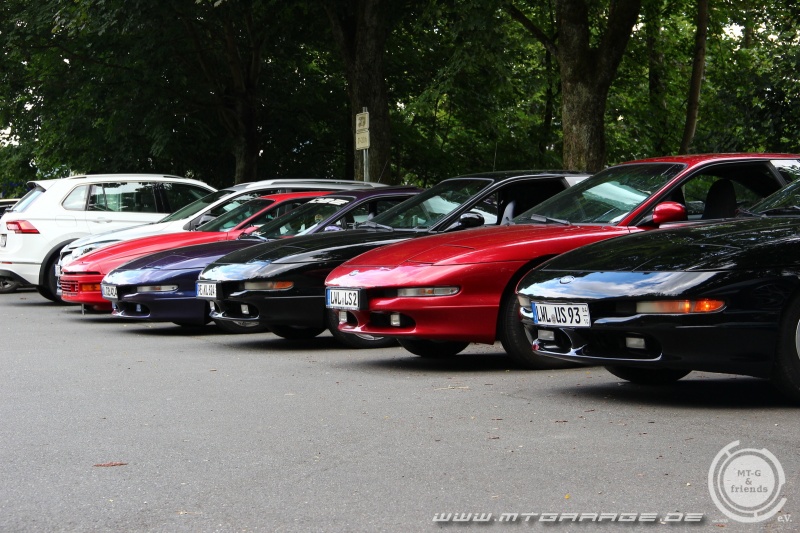 w_IMG_8086.JPG