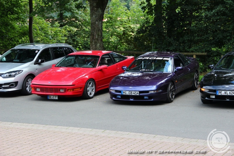 w_IMG_8064.JPG