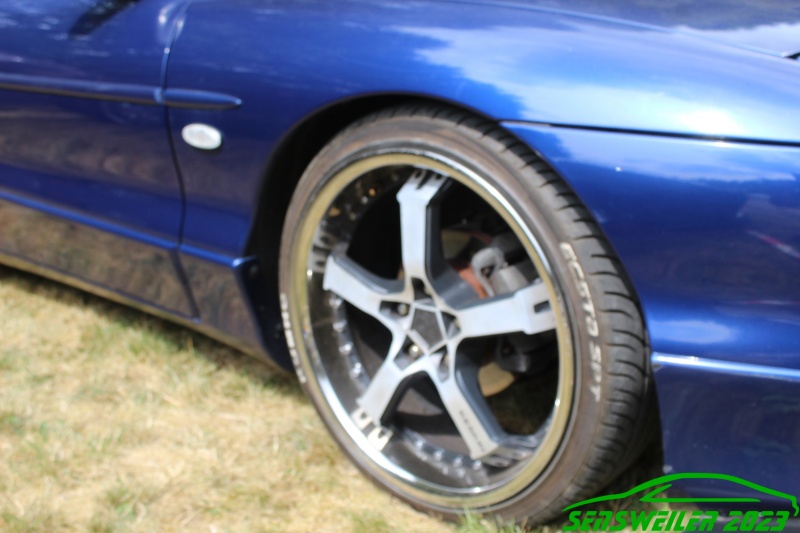 w_IMG_0863.JPG