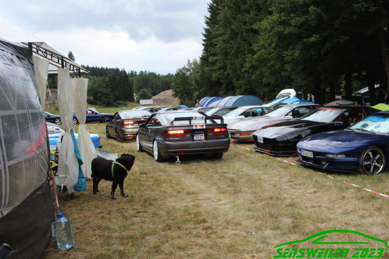 w_IMG_0825.JPG