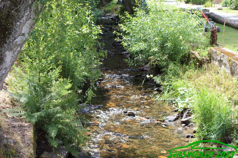 w_IMG_0715.JPG