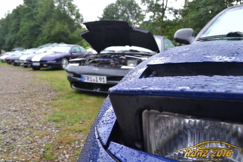 w_DSC_0568.JPG