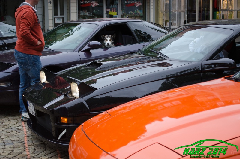 w_pt-harz2014-gabi.fischer-GEF_0399.jpg