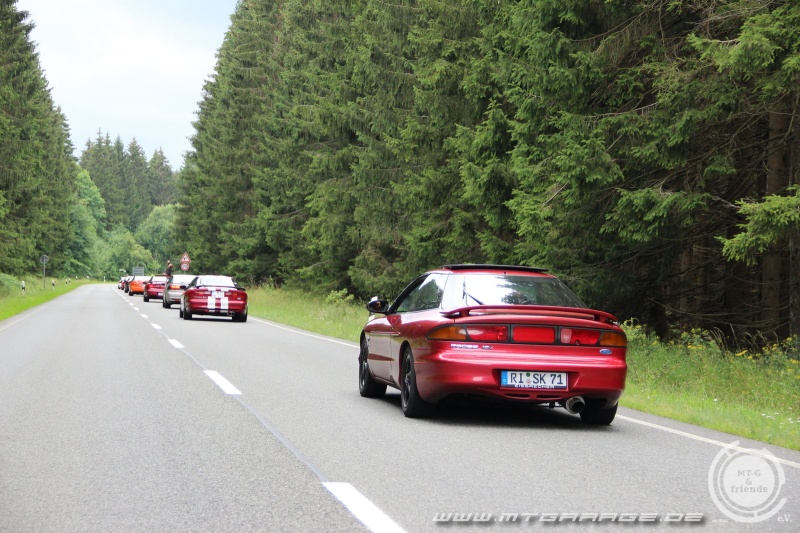 w_IMG_6421.JPG