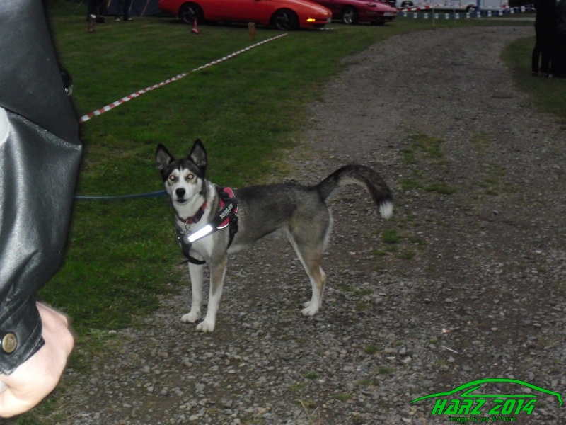 w_pt-harz2014-jay-mone-harz2014-jay-mone-149.JPG