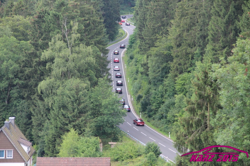 pt2015_w_IMG_9793.JPG