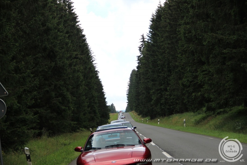 w_IMG_6429.JPG