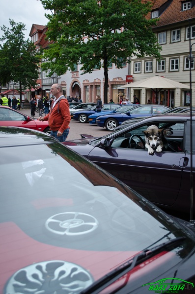 w_pt-harz2014-gabi.fischer-GEF_0403.jpg