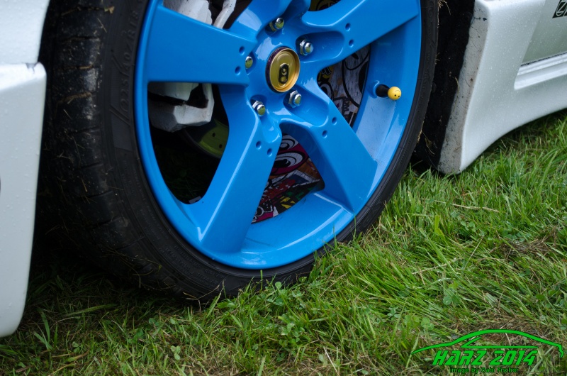 w_pt-harz2014-gabi.fischer-GEF_0737.jpg