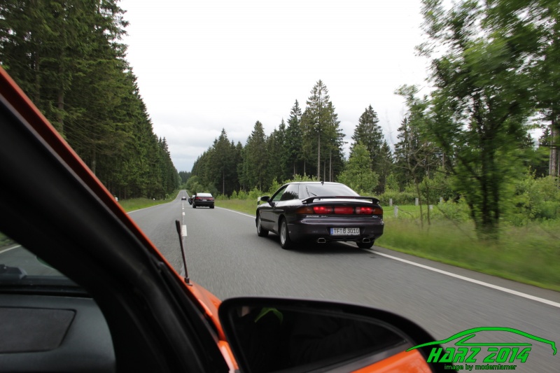 w_pt-harz2014-IMG_4494.JPG