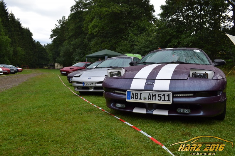 w_DSC_0579.JPG