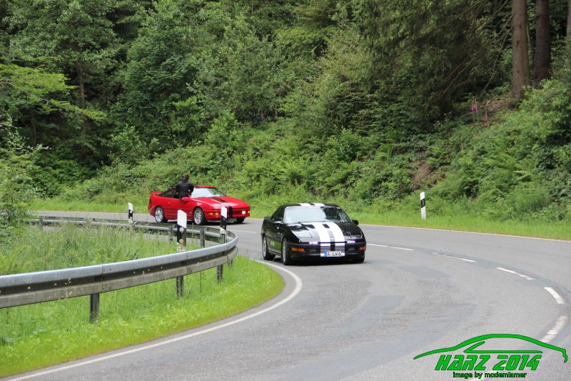 w_pt-harz2014-IMG_4020.JPG