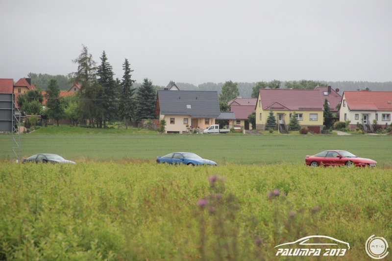 w_IMG_6564.JPG