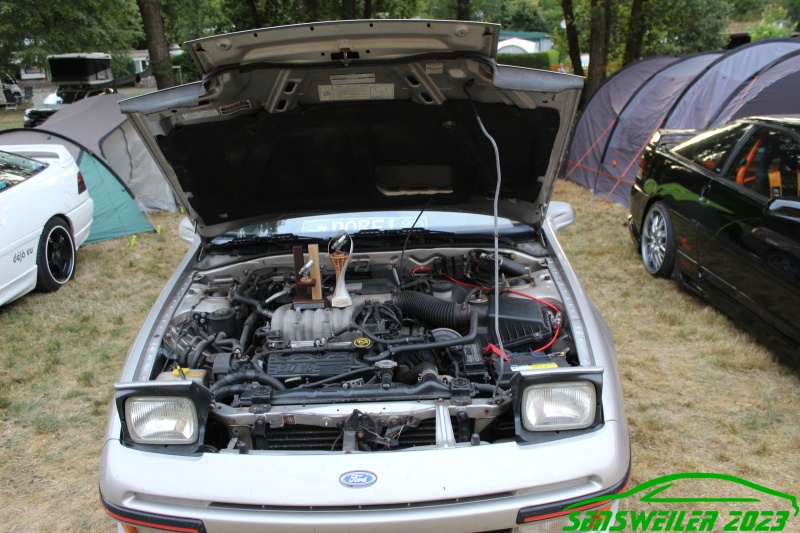 w_IMG_1142.JPG