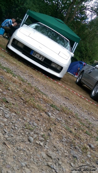 w_IMAG0468.jpg