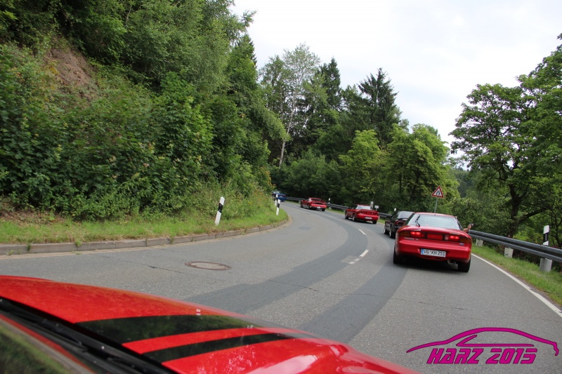 pt2015_w_IMG_9991.JPG