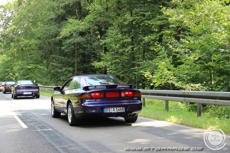 w_IMG_6273.JPG
