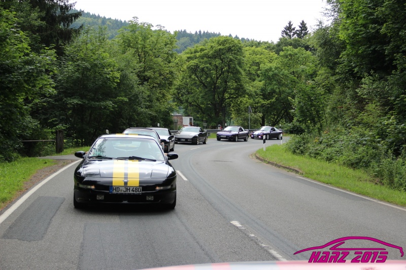 pt2015_w_IMG_9993.JPG