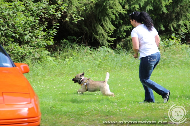 w_IMG_0992.JPG