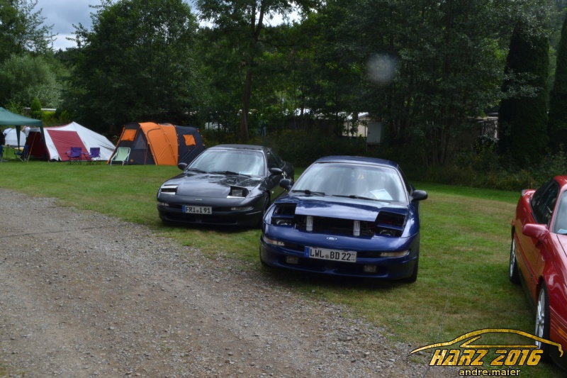 w_DSC_0550.JPG