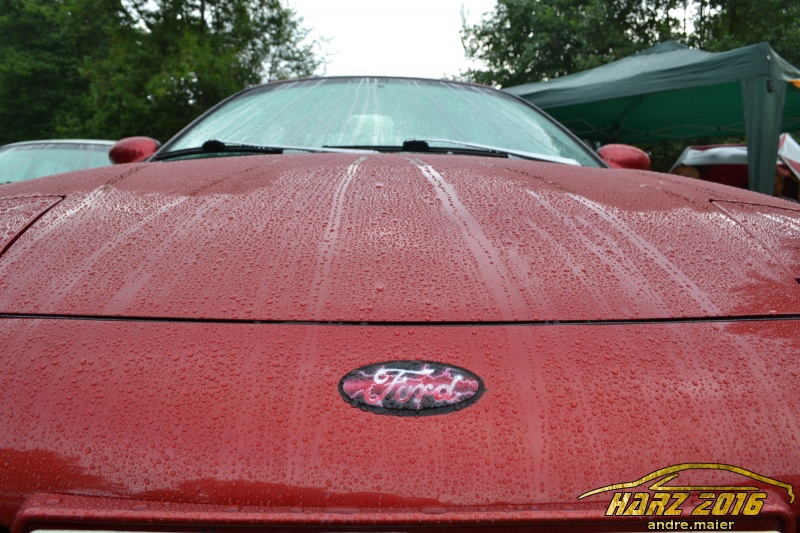 w_DSC_0572.JPG
