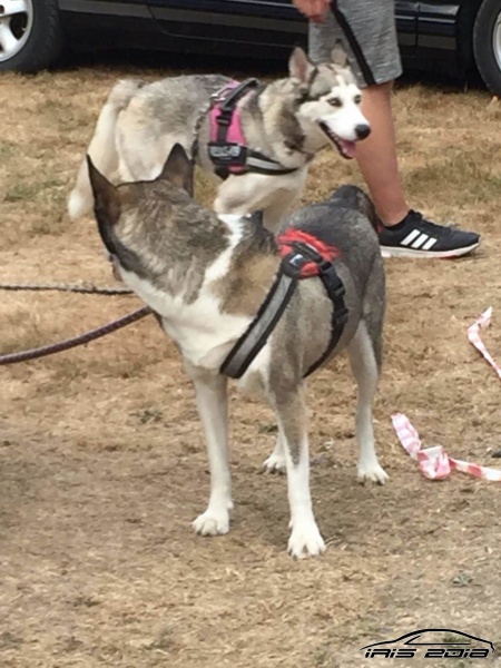 w_IMG-20180730-WA0073.jpg
