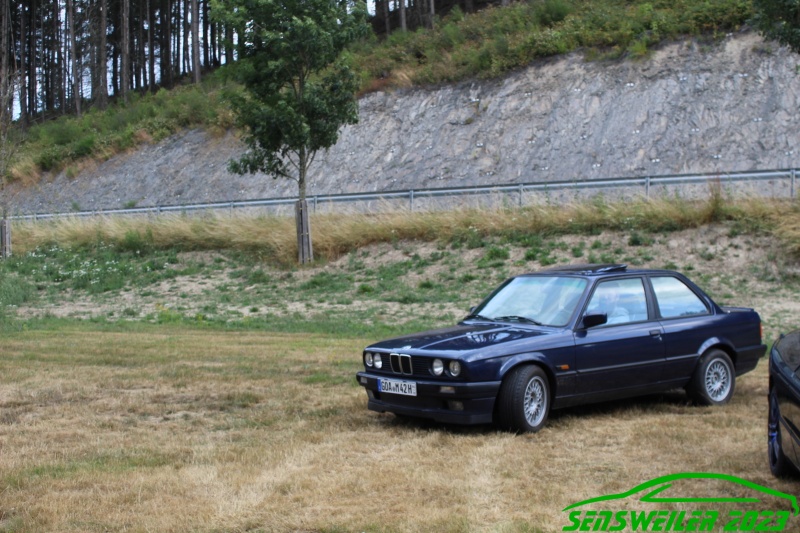 w_IMG_0799.JPG