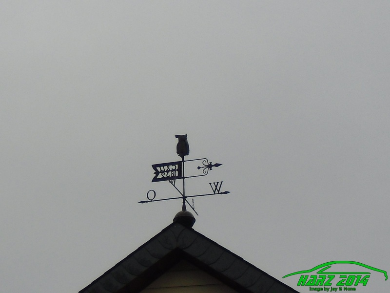 w_pt-harz2014-jay-mone-harz2014-jay-mone-255.JPG