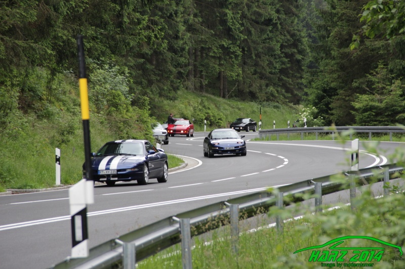 w_pt-harz2014-IMG_4345.JPG