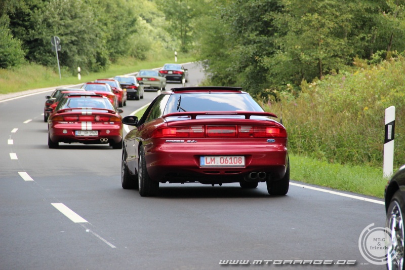 w_IMG_6362.JPG
