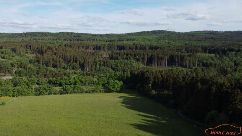 w_DJI-Mini-00001.jpg