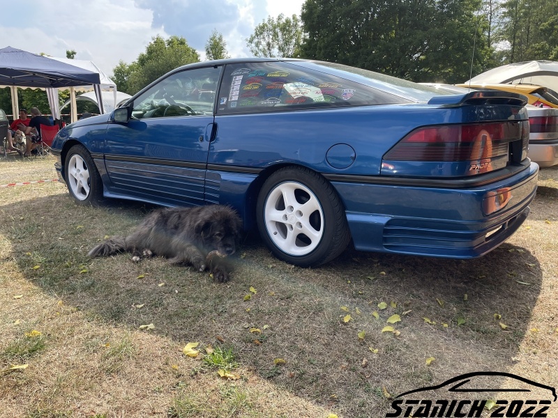 w_IMG_3677.JPG