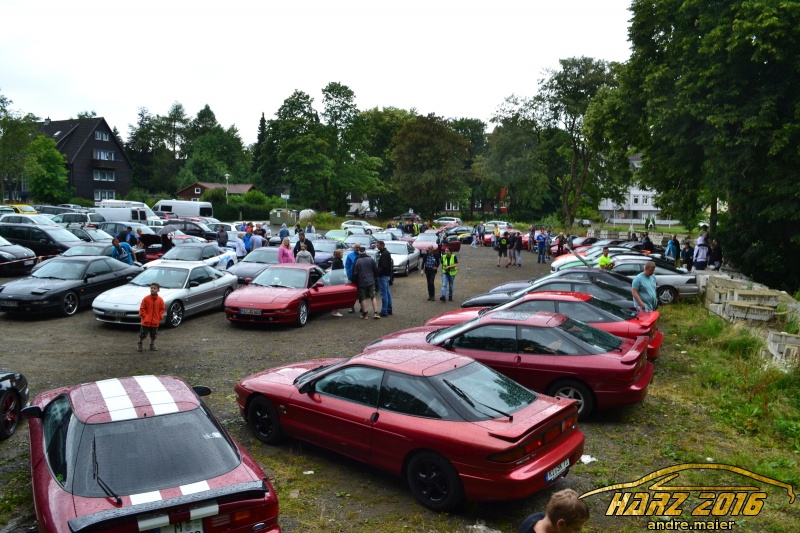 w_DSC_0595.JPG