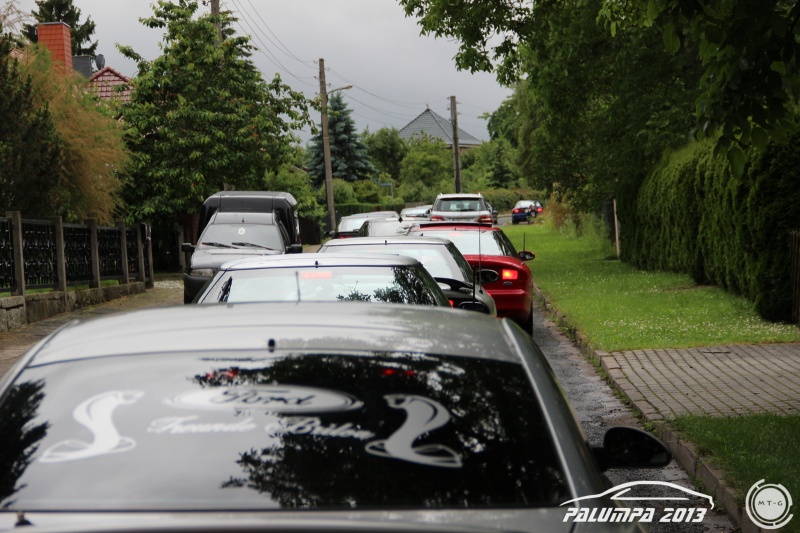 w_IMG_6883.JPG